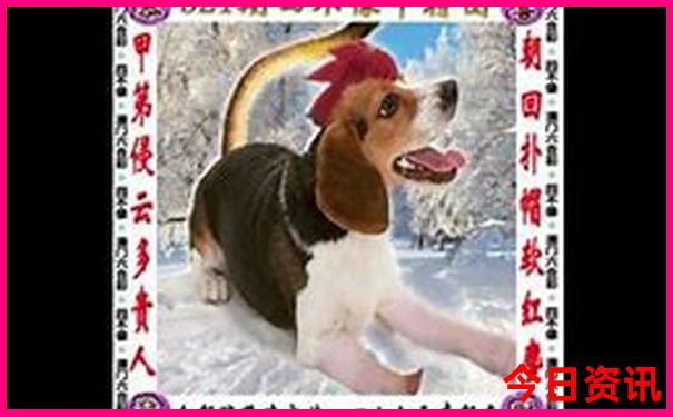 武汉黄冈旅游景点有哪些景点